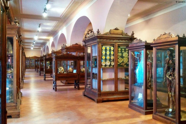 Museo Antropologia di Napoli