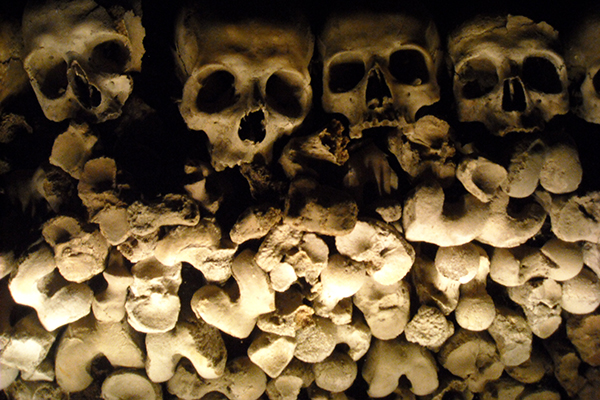 Teschi Cimitero delle Fontanelle