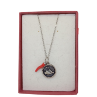 souvenir-20250201_151052_166622813