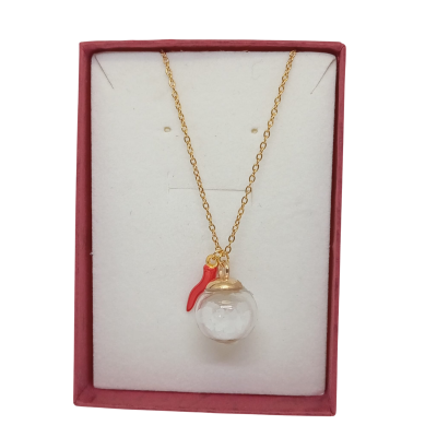 souvenir-20250201_151244